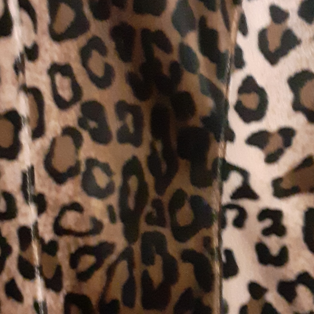 Cheetah Short jacket - Picture 5 of 5